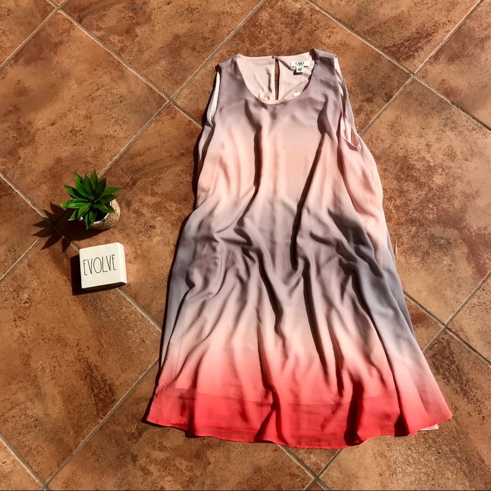 Sheer Dress